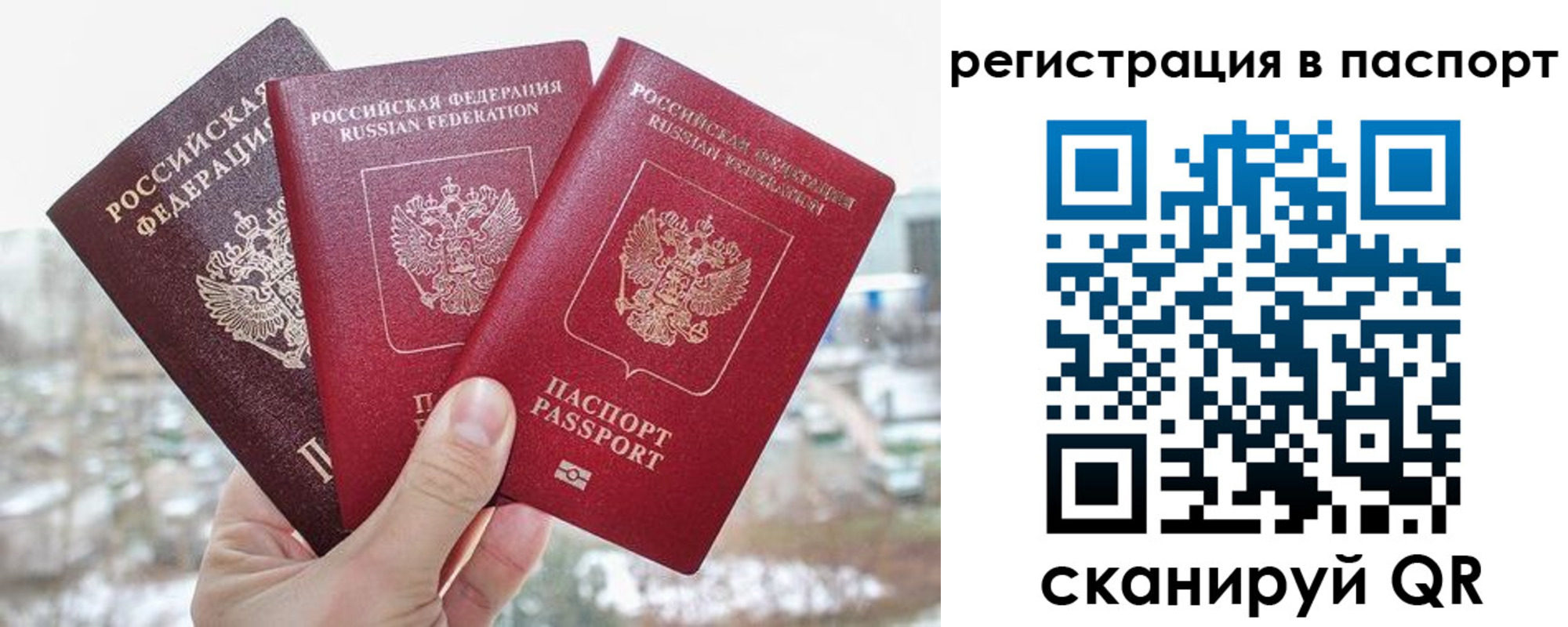 регистрация для школы в Оренбургской области
